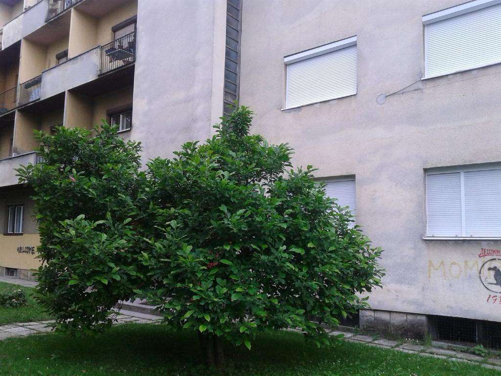Apartment Ma 2 , 3 Rd Floor บันยาลูกา ภายนอก รูปภาพ
